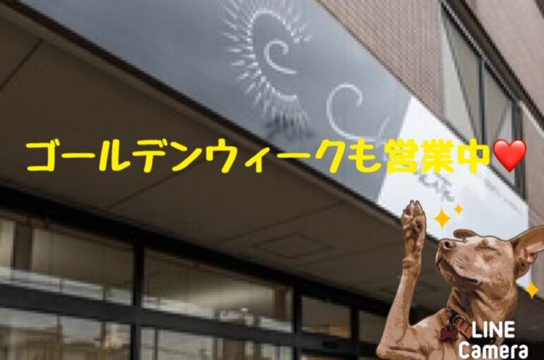 B98A7340-B9EE-4F44-A186-EC7011735E04